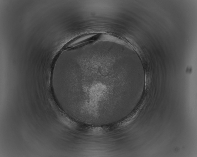 X0000091210301200708231614