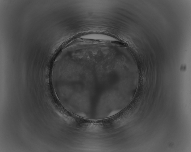 X0000091210303200708231614