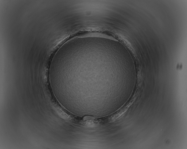 X0000091210305200708231614