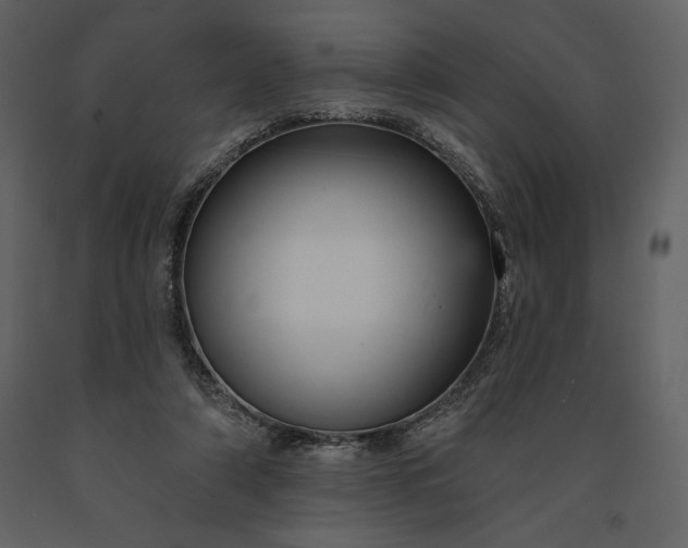 X0000091210306200708231614