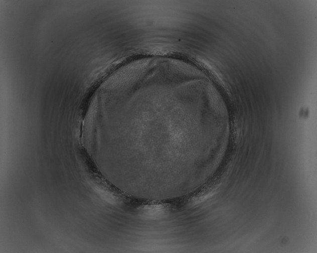 X0000091210307200708231614