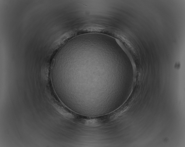 X0000091210309200708231614