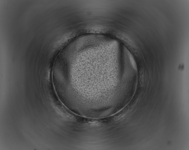 X0000091210310200708231614