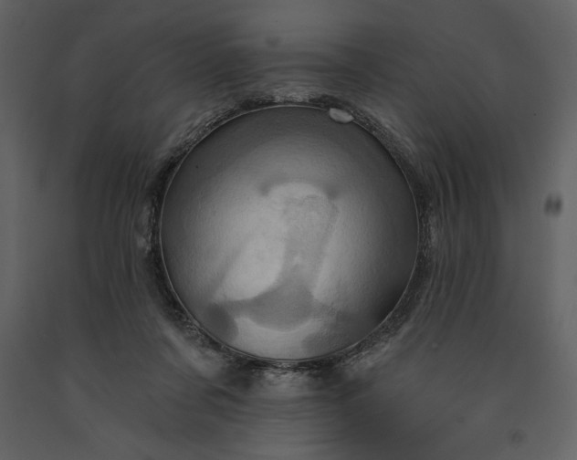 X0000091210311200708231614