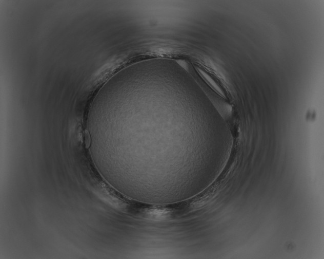 X0000091210313200708231614