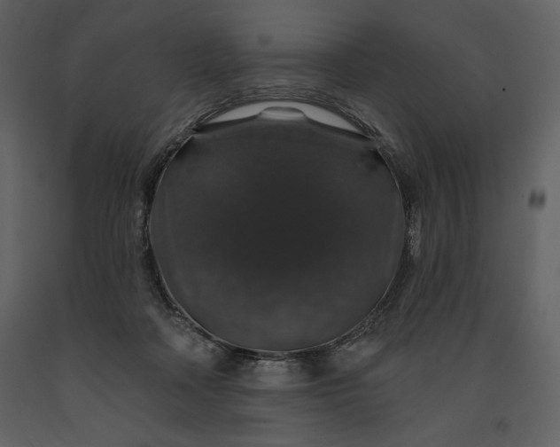 X0000091210314200708231614