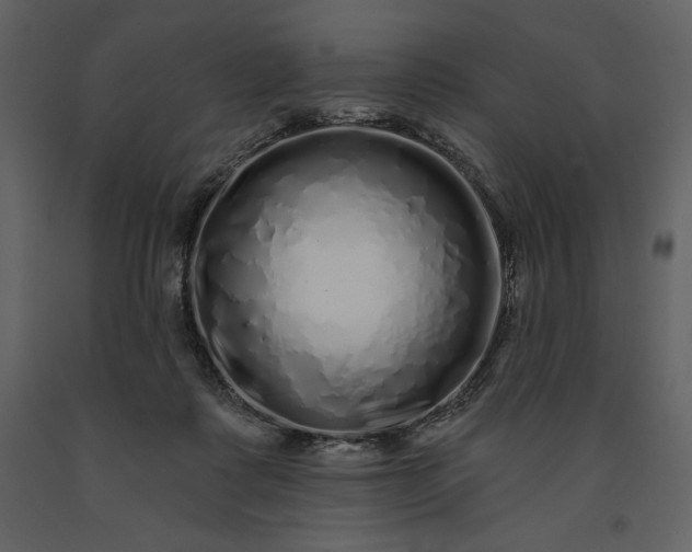 X0000091210315200708231614