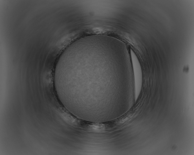 X0000091210317200708231614