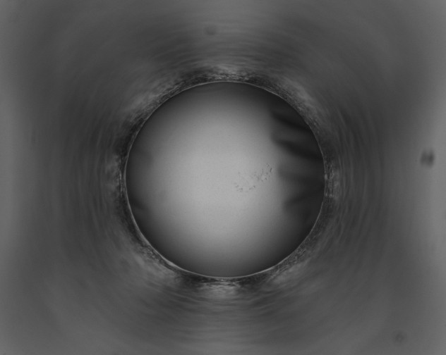 X0000091210318200708231614