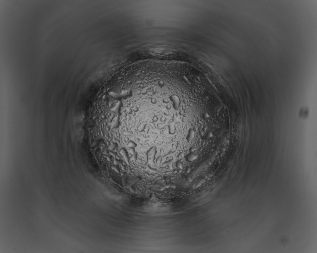 X0000091210319200708231613