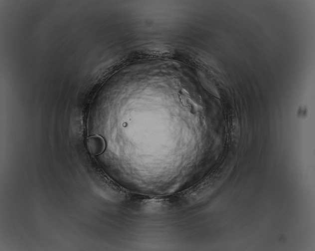 X0000091210320200708231613