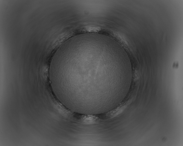 X0000091210321200708231613