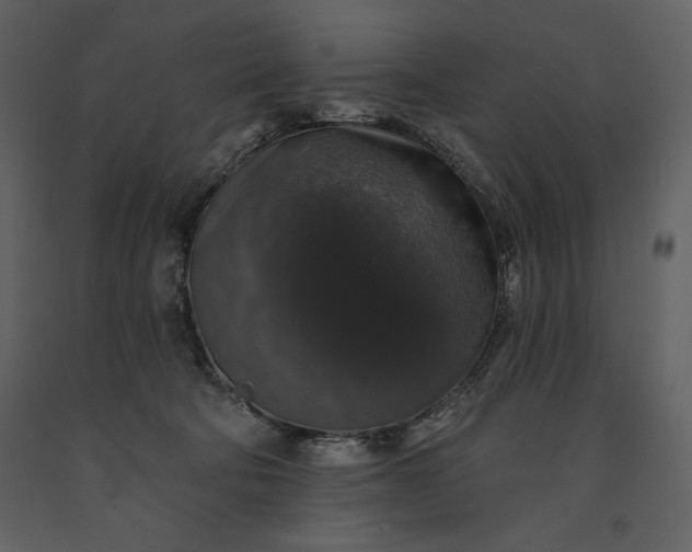 X0000091210322200708231613