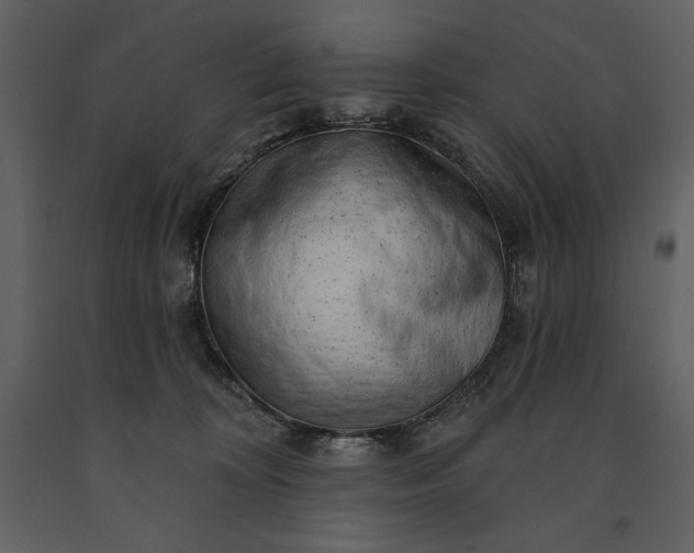 X0000091210324200708231613