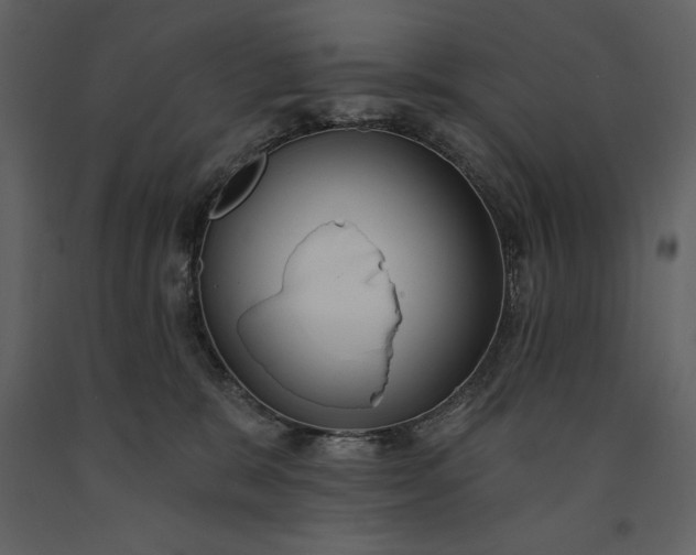 X0000091210327200708231613