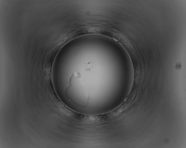 X0000091210329200708231613