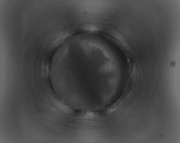 X0000091210330200708231613