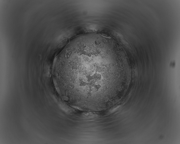 X0000091210331200708231613