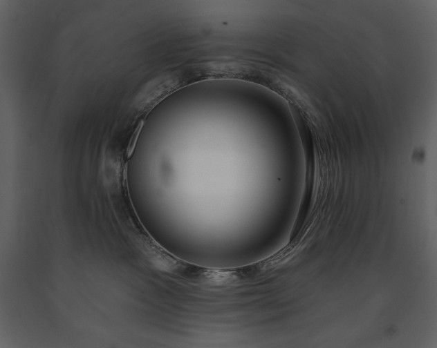 X0000091210333200708231613