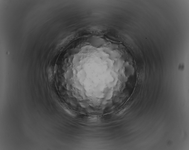 X0000091210335200708231613