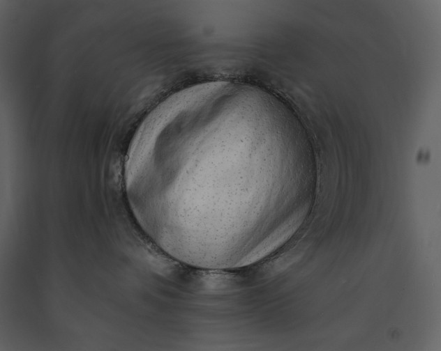 X0000091210336200708231613