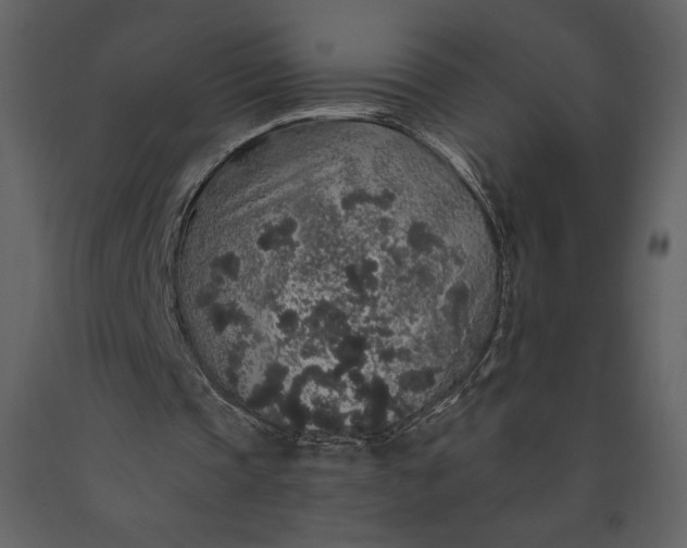 X0000091210337200708231613