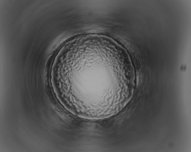 X0000091210339200708231613