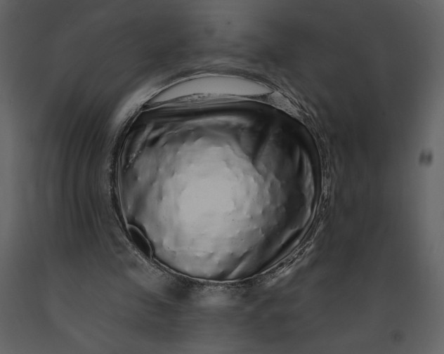 X0000091210341200708231613