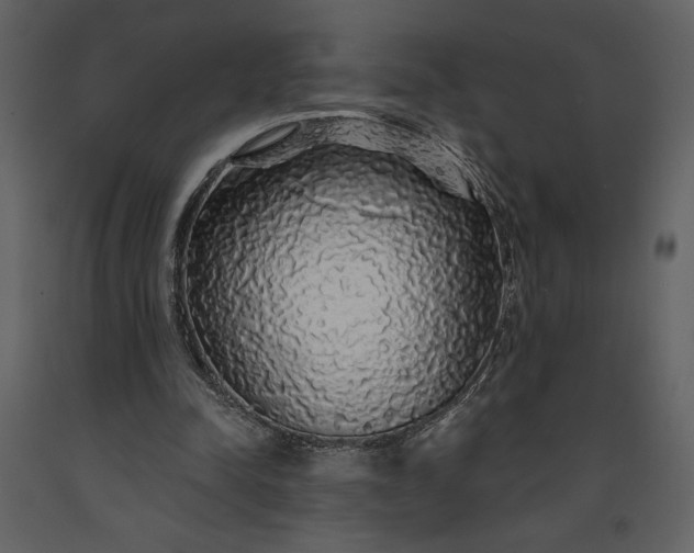 X0000091210342200708231613