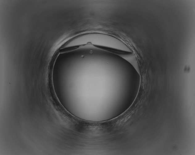 X0000091210344200708231613