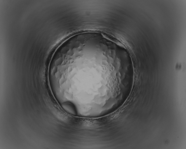 X0000091210346200708231613