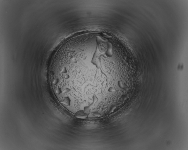 X0000091210347200708231613