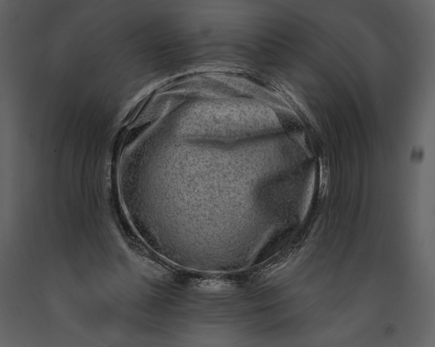 X0000091210348200708231613