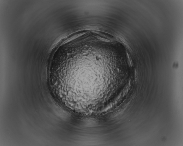 X0000091210349200708231613