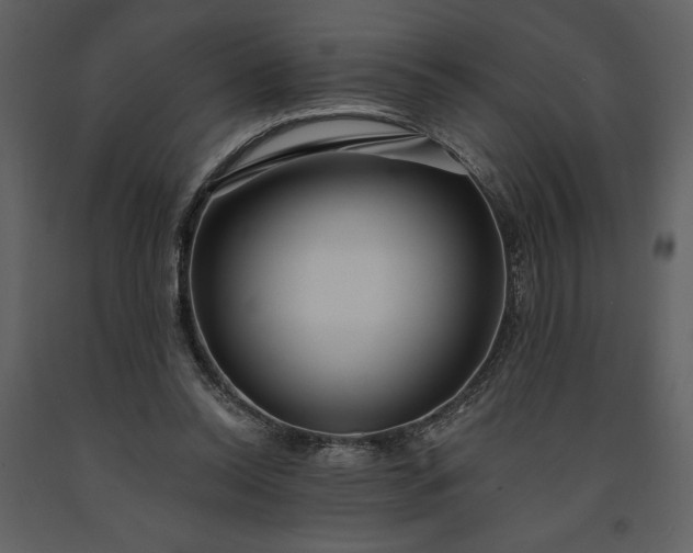 X0000091210350200708231613