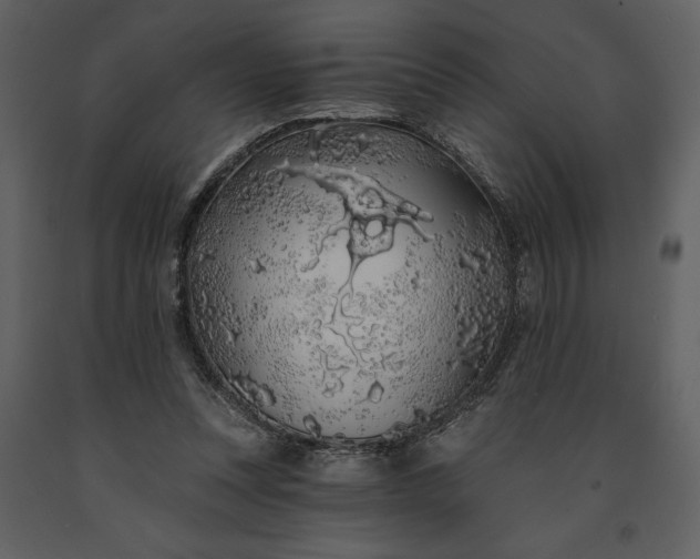 X0000091210351200708231613