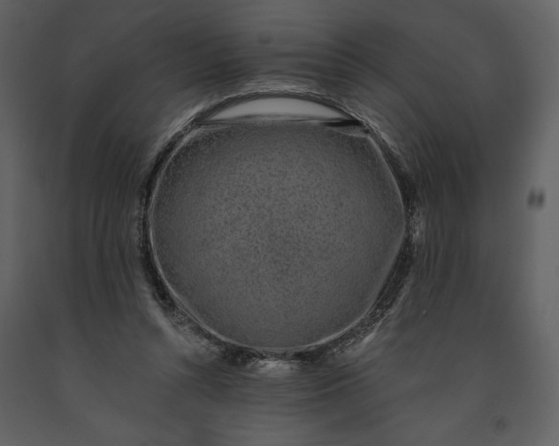 X0000091210352200708231613