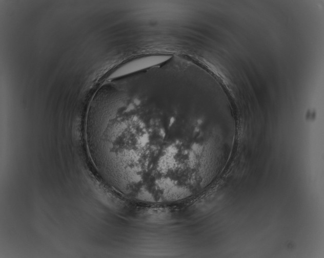 X0000091210353200708231613