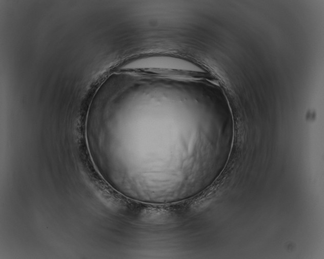 X0000091210354200708231613