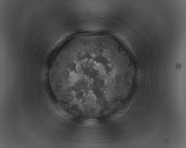 X0000091210355200708231613