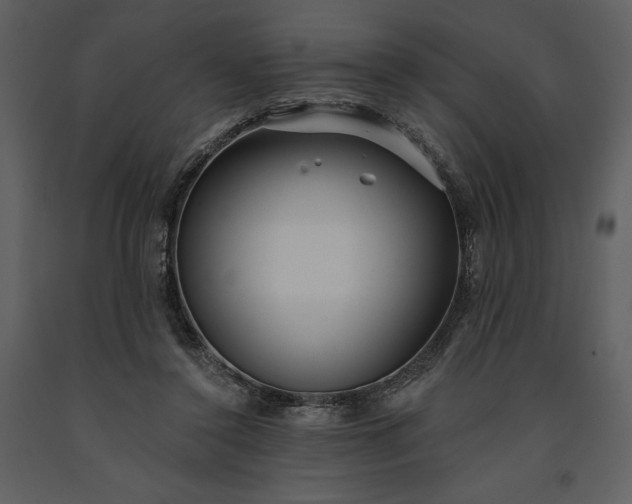 X0000091210356200708231613