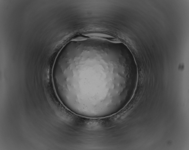 X0000091210358200708231613