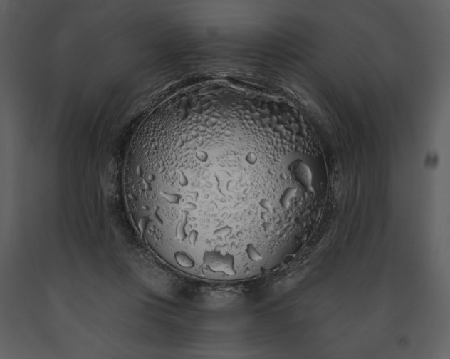 X0000091210359200708231613