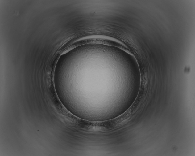 X0000091210360200708231613