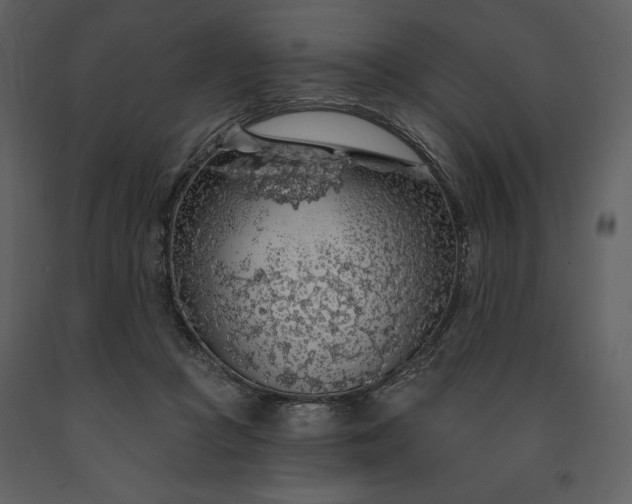 X0000091210361200708231613