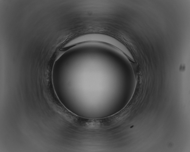 X0000091210362200708231613