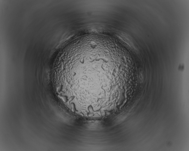 X0000091210363200708231613