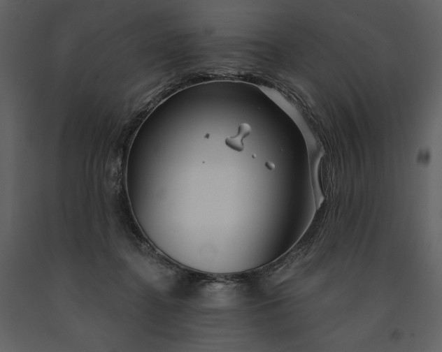 X0000091210364200708231613