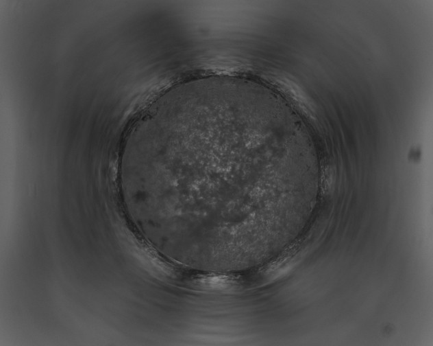 X0000091210365200708231613