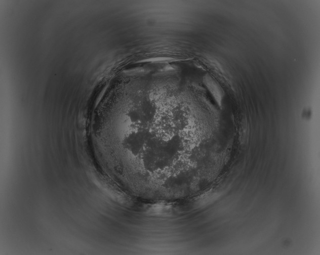 X0000091210366200708231613